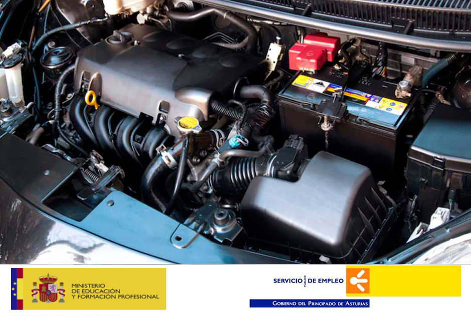 Mantenimiento del Motor y sus Sistemas Auxiliares (TMVG0409)